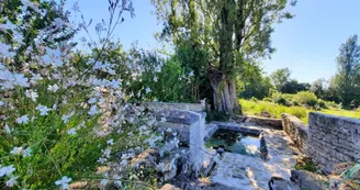Lavoir des Godichauds
