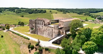 Circuit | Un château dans le vignoble | Bouteville_Bouteville
