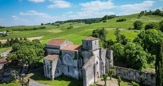 Circuit | Un château dans le vignoble | Bouteville_Bouteville