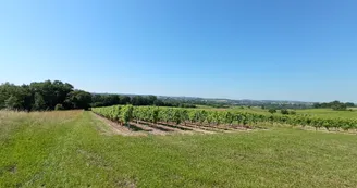 Circuit | Chemin des bergers | Châteauneuf-sur-Charente