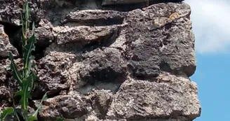 Circuit | Chemin des bergers | Châteauneuf-sur-Charente