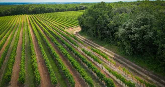 Circuit | Chemin des Chaumes | Graves-St-Amant_Graves-Saint-Amant