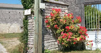 Circuit | Chemins en fins bois | Sigogne_Sigogne