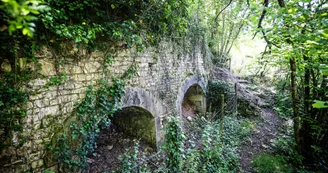 Circuit | Chemins en fins bois | Sigogne_Sigogne