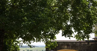 Circuit des vignes | Bouteville