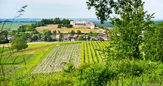 Circuit des vignes | Bouteville