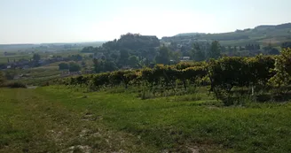 Circuit du Moulin | Bouteville