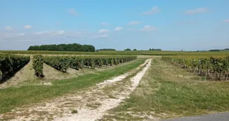 Circuit du Moulin | Bouteville