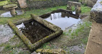 Circuit | Chemin des Vignes | Mosnac-St-Simeux