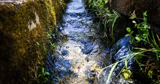 Circuit | Chemin des Vignes | Mosnac-St-Simeux