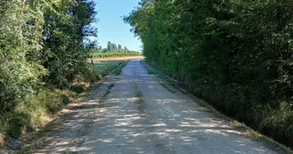 Circuit d'Olivet | Réparsac