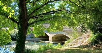 Circuit d'Olivet | Réparsac