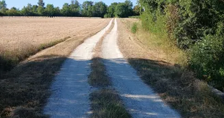 Circuit d'Olivet | Réparsac