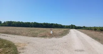 Circuit d'Olivet | Réparsac