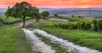 Circuit de la Garenne | Salles d'Angles