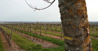 Circuit de la Garenne | Salles d'Angles