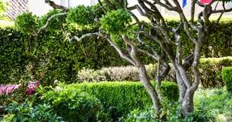 Circuit de la Garenne | Salles d'Angles