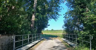 Circuit d'Olivet | Réparsac