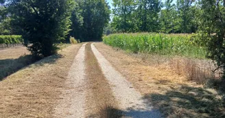 Circuit d'Olivet | Réparsac