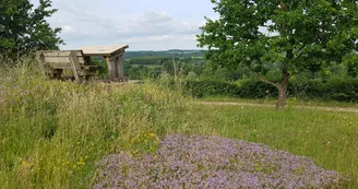 Circuit | Chemin des bergers | Châteauneuf-sur-Charente