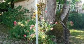 Circuit | Chemin des bergers | Châteauneuf-sur-Charente