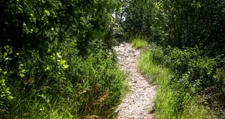 Circuit du Bain des Dames | Châteauneuf-sur-Charente