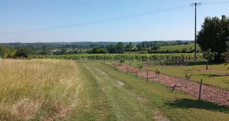 Circuit du Bain des Dames | Châteauneuf-sur-Charente