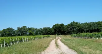 Circuit du Bain des Dames | Châteauneuf-sur-Charente