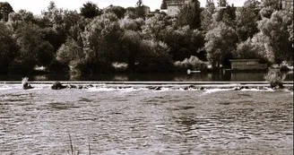 Circuit | Chemin des Vignes | Mosnac-St-Simeux