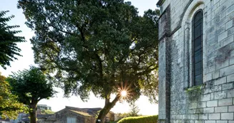 Circuit | Un château dans le vignoble | Bouteville_Bouteville