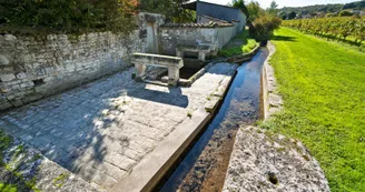 Circuit | Un château dans le vignoble | Bouteville_Bouteville