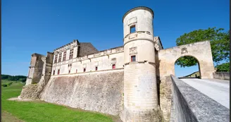 Circuit | Un château dans le vignoble | Bouteville_Bouteville