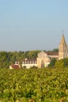 Abbaye de Bassac